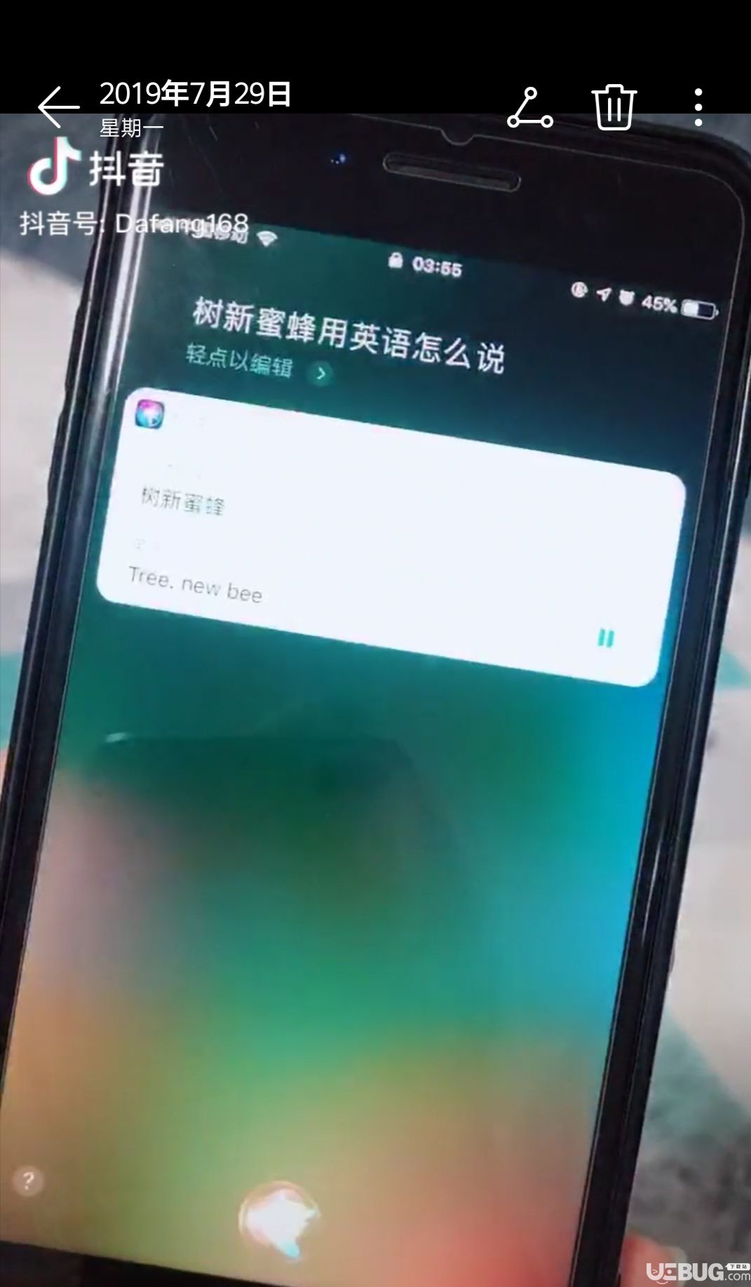 抖音上树新蜜蜂是什么梗 树新蜜蜂用英语怎么说